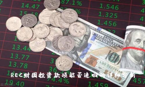 REC财团投资款项能否追回的详细分析
