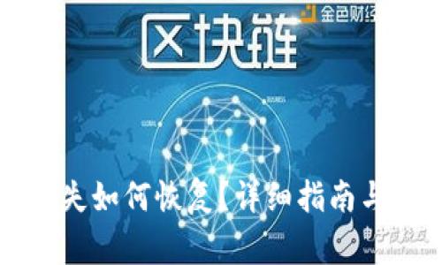 比特币钱包遗失如何恢复？详细指南与常见问题解析