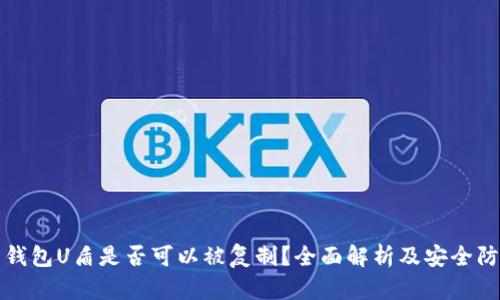 比特币钱包U盾是否可以被复制？全面解析及安全防护建议