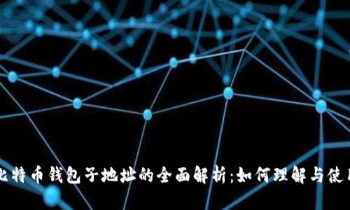 比特币钱包子地址的全面解析：如何理解与使用