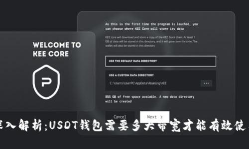  深入解析：USDT钱包需要多大带宽才能有效使用？