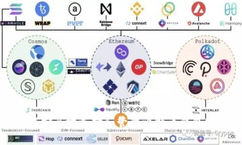 如何安全地选择和管理比特币钱包账户