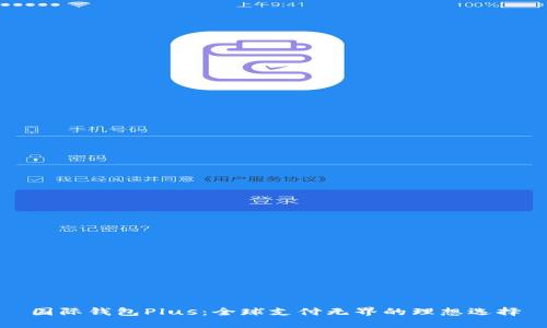 国际钱包Plus：全球支付无界的理想选择