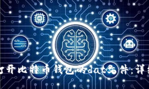如何打开比特币钱包的dat文件：详细指南