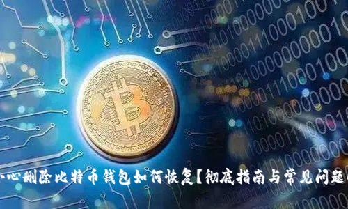 不小心删除比特币钱包如何恢复？彻底指南与常见问题解答