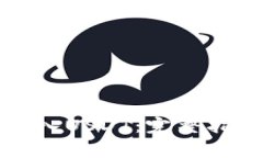如何安全快捷地购入USDT：