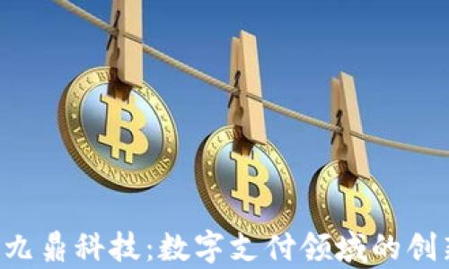
JDpay九鼎科技：数字支付领域的创新先锋