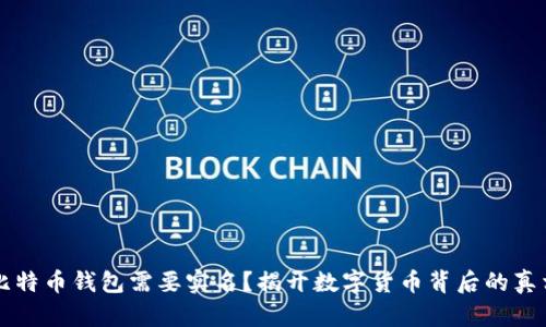 比特币钱包需要实名？揭开数字货币背后的真相
