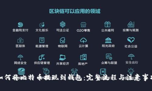 如何将比特币提现到钱包：完整流程与注意事项