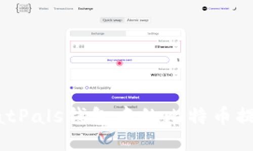 如何将您的CatPals钱包中的比特币提取到个人账户