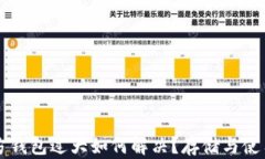 比特币官方钱包过大如何解决？存储与使用体验