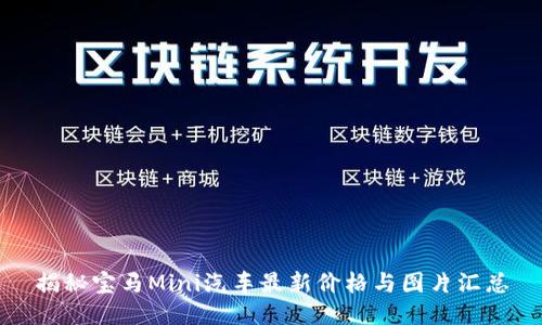 揭秘宝马Mini汽车最新价格与图片汇总