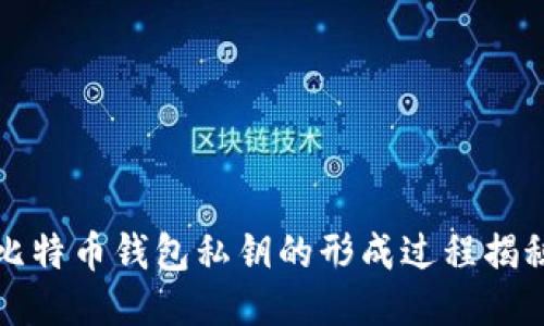 比特币钱包私钥的形成过程揭秘