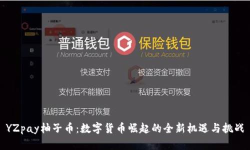 YZpay柚子币：数字货币崛起的全新机遇与挑战