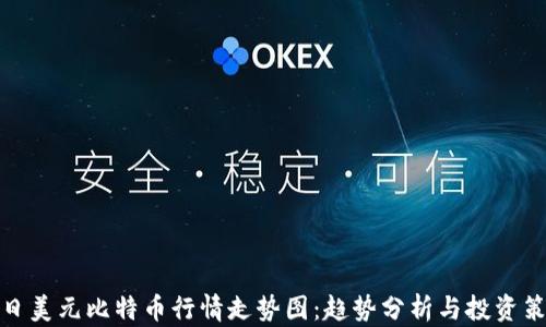今日美元比特币行情走势图:趋势分析与投资策略