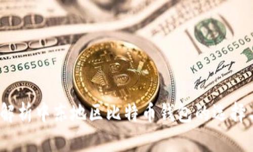:全面解析中东地区比特币钱包的选择与使用