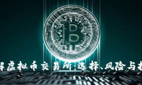 全面了解虚拟币交易所：选择、风险与投资策略