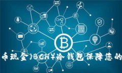 如何使用比特币现金（BCH）冷钱包保障您的数字