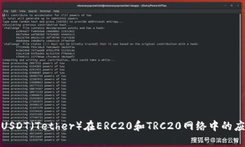 全面解析USDT（Tether）在ERC20和TRC20网络中的应用与优势