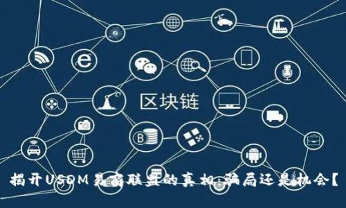 揭开USDM易商联盟的真相：骗局还是机会？