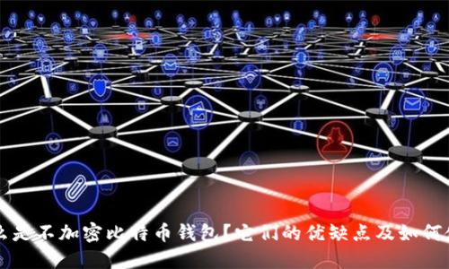 什么是不加密比特币钱包？它们的优缺点及如何使用