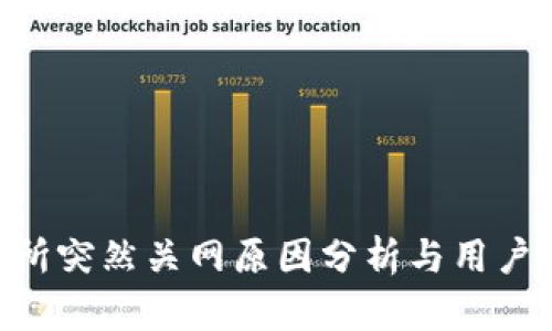 币U交易所突然关网原因分析与用户应对策略