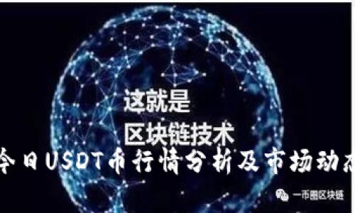 今日USDT币行情分析及市场动态