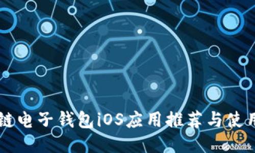 区块链电子钱包iOS应用推荐与使用指南