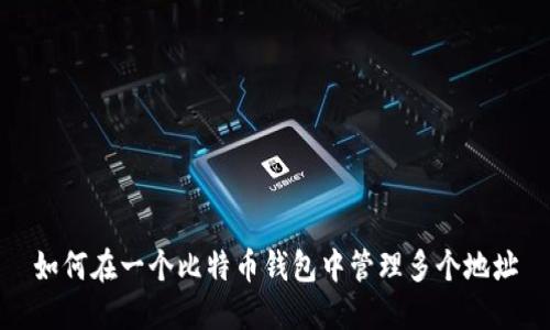 如何在一个比特币钱包中管理多个地址