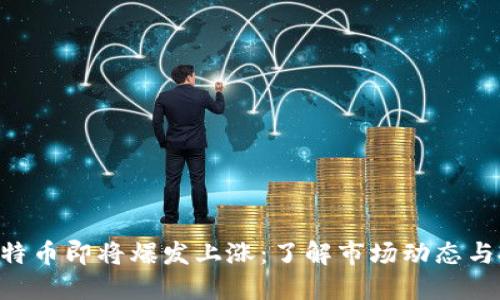 riaoti比特币即将爆发上涨：了解市场动态与投资机会