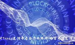 探讨Topay支付平台合作的游