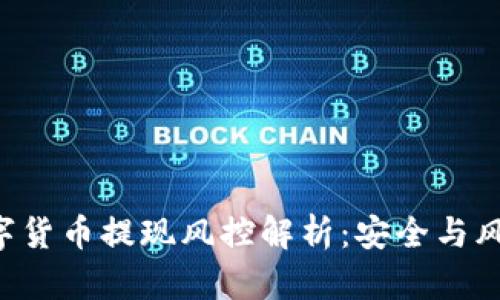 yzpay数字货币提现风控解析：安全与风险的博弈
