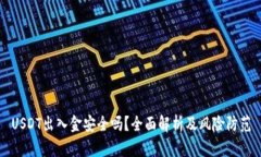 USDT出入金安全吗？全面解析及风险防范