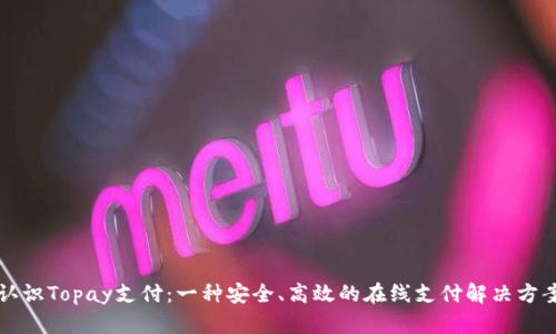 认识Topay支付：一种安全、高效的在线支付解决方案