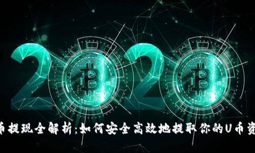 U币提现全解析：如何安全高效地提取你的U币资产