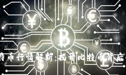 2023年比特币行情解析：揭开比特币背后的真实面貌