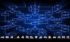 探秘比特币：木马钱包背