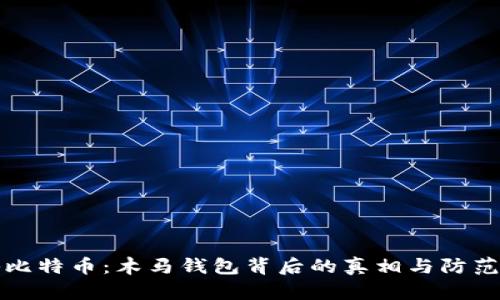 探秘比特币：木马钱包背后的真相与防范对策