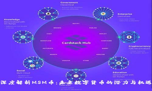 深度解析MSM币：未来数字货币的潜力与机遇