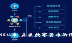 深度解析MSM币：未来数字