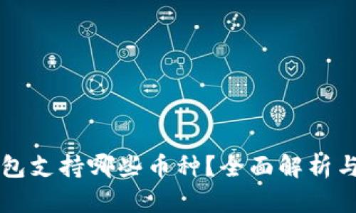 比特币钱包支持哪些币种？全面解析与使用指南