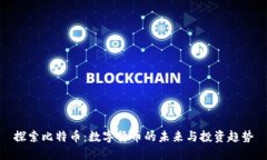 探索比特币：数字货币的
