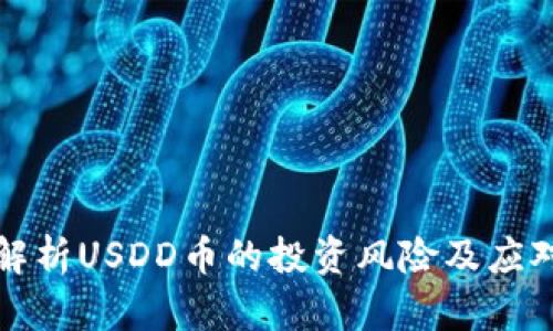 深度解析USDD币的投资风险及应对策略