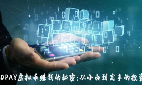   
揭秘JDPAY虚拟币赚钱的秘密：从小白到高手的投资之路