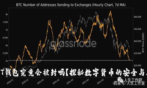 USDT钱包究竟会被封吗？探秘数字货币的安全与风险