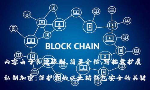 内容由于长度限制，简要介绍，可按需扩展

私钥加密：保护你的以太坊钱包安全的关键
