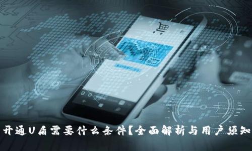 开通U盾需要什么条件？全面解析与用户须知
