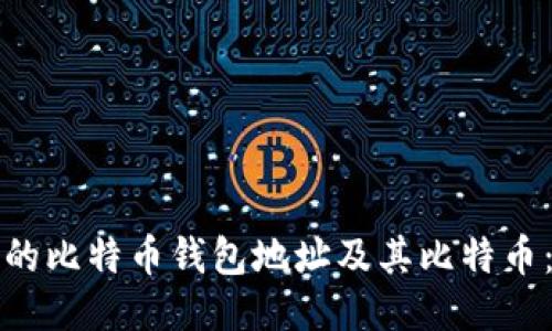 如何找回丢失的比特币钱包地址及其比特币：一步一步指南