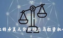 最新比特币美元价格动态