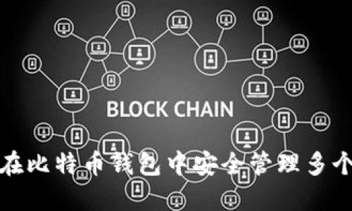 如何在比特币钱包中安全管理多个地址